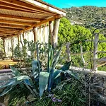 Vintage House With Terrace On The Elba Island