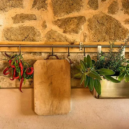Vintage House With Terrace On The Elba Island سيكيتو