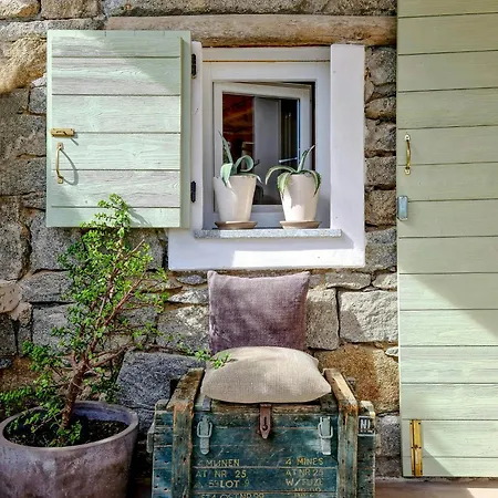 Vintage House With Terrace On The Elba Island *