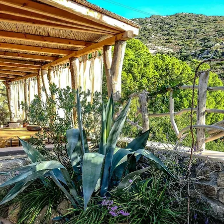 Vintage House With Terrace On The Elba Island