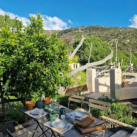 Vintage House With Terrace On The Elba Island * Seccheto