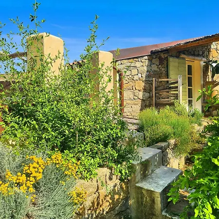 Vintage House With Terrace On The Elba Island